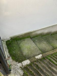 Pulizia straordinaria complesso condominiale